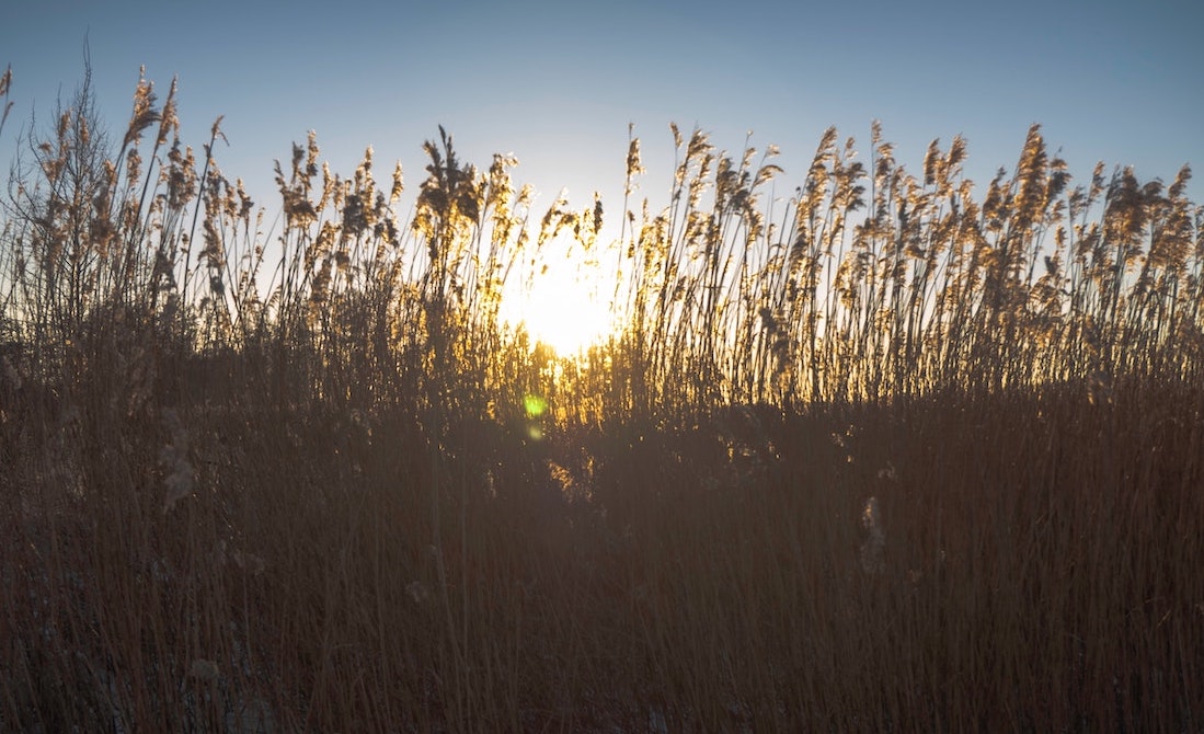 Bijeenkomst Oost Groningen en Noord Drenthe – Klimaatkennis in de regio 17 feb 2021