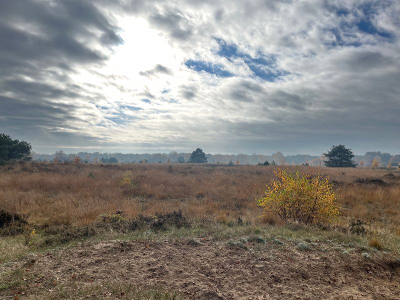 Hoe een simpel gesprek wantrouwen kan doorbreken