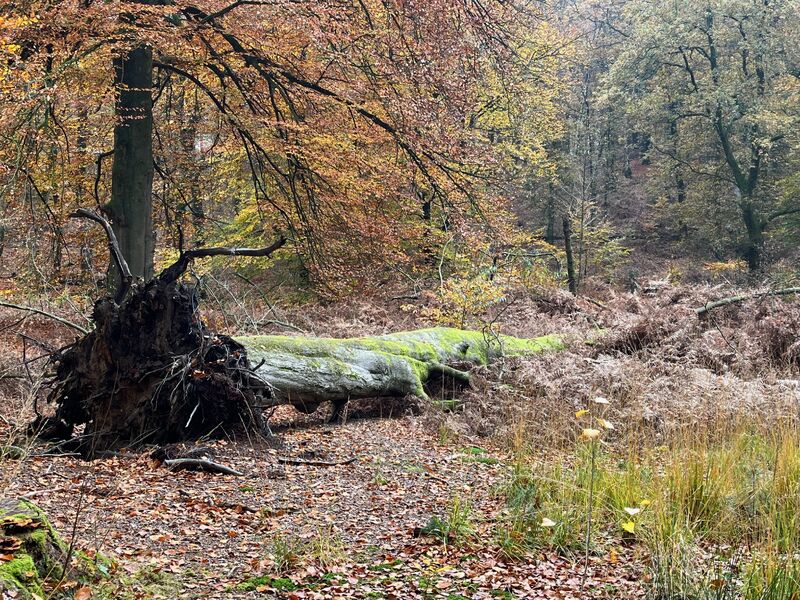 Onpartijdig zijn… kan dat eigenlijk?
